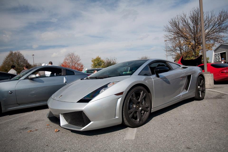 Name:  Lamborghini Gallardo SE.JPG
Views: 132
Size:  296.1 KB