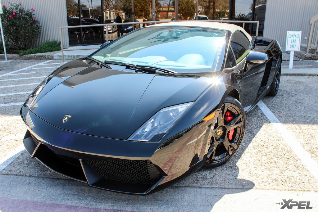 Name:  Lamborghini_Black_Gallardo_XPEL_film_2014_IMG_7624.jpg
Views: 92
Size:  372.6 KB