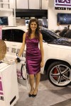 Killer Body Work: Ladies of SEMA 2013