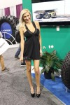 Killer Body Work: Ladies of SEMA 2013