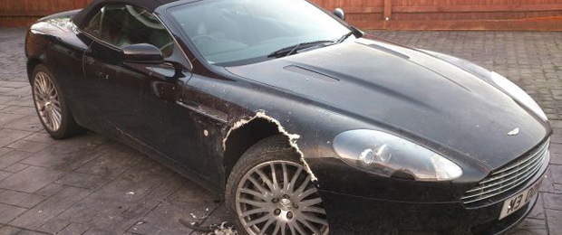 Dog Chews on Owner’s Aston Martin