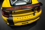 Porsche Unveils Track-Only Cayman GT4 